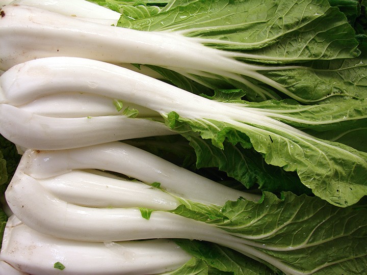 Pakchoi